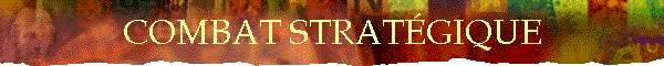 COMBAT STRATGIQUE